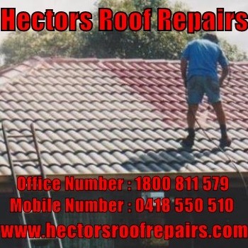 roof repair Images