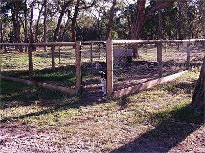 chainmesh fencing images