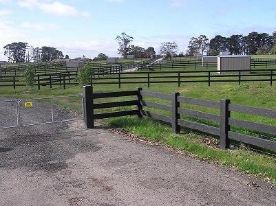 post and rail fencing image