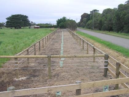 post and rail fencing image